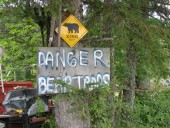 Bear hunt in Canada